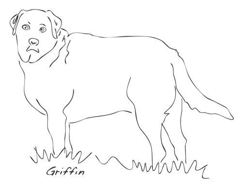 Griffin doodle as vector image
