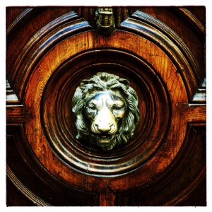 The lion's head from the side of the lost and found bin... (Photo: virtualDavis)